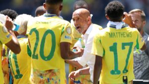 Técnico do Mamelodi cita Palmeiras como ‘exemplo brutal’ no Brasil